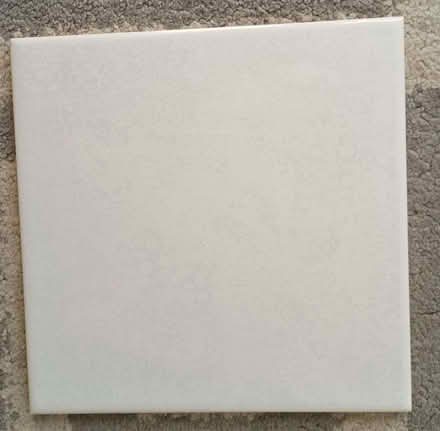 Photo of free 20 Ceramic Wall Tiles 15cm square (Whitwick LE67) #1
