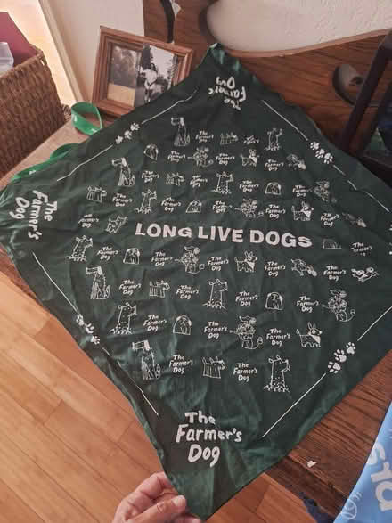 Photo of free 3 dog bandanas (SR, Bret Harte, near Jackson's) #3