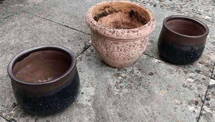 Photo of free 3x plant pots (Bussage GL6) #1