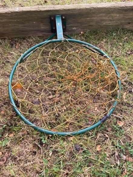 Photo of free Netball Basketball Sports hoop (St Albans AL1) #1