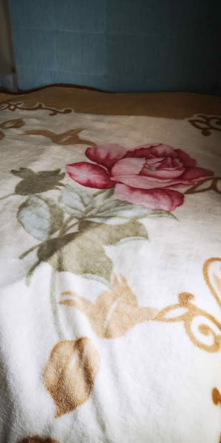 Photo of free Large cosy blanket with roses (BN10) #4