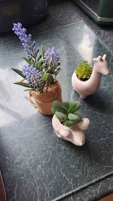 Photo of free X3 artificial plants in pots (Littlehaven) #1