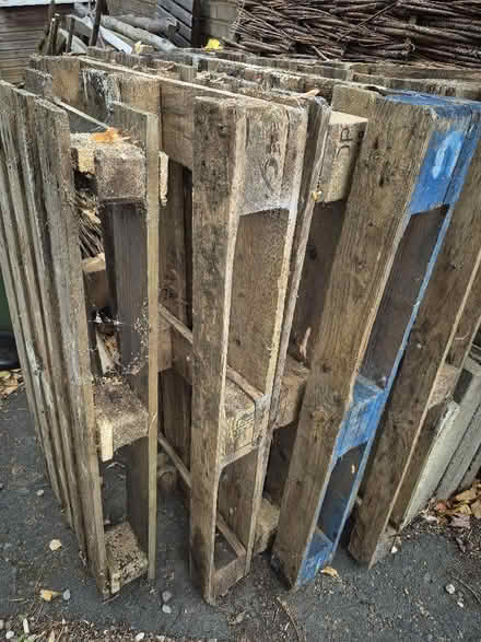 Photo of free Pallets x3 (Hollinswood TF3) #1