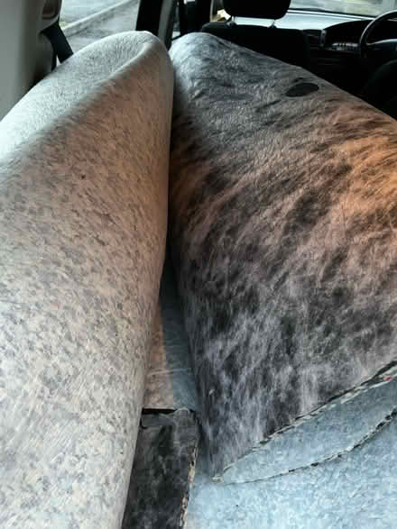 Photo of free Underlay (CR7 Thornton Heath) #1