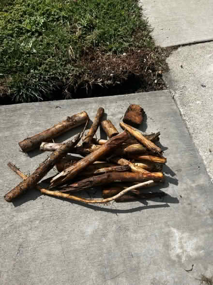 Photo of free firewood - pine (North Lakewood) #1