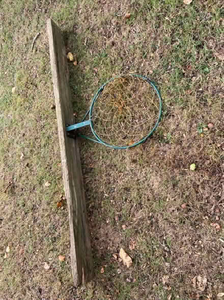 Photo of free Netball Basketball Sports hoop (St Albans AL1) #2
