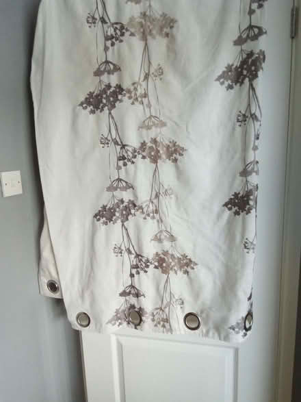 Photo of free 2 pairs of Dunelm curtains (Penarth CF64) #1