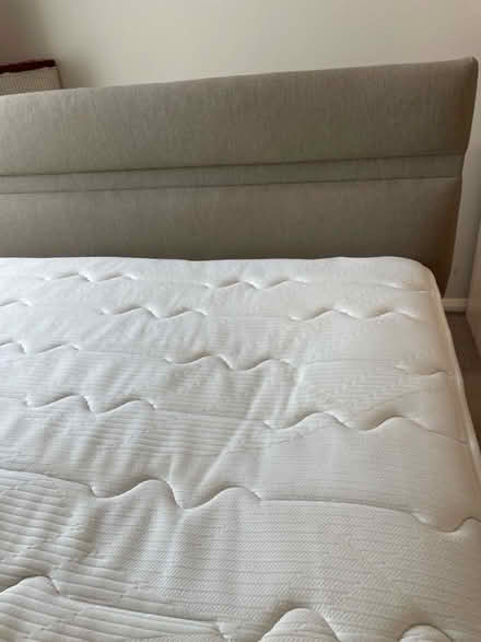 Photo of free Double divan bed (CO2 near mersea rd) #3