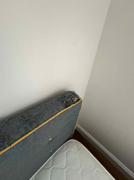 Photo of free Bed 140x210 and mattress 140x190 (Bellingham, Catford SE6) #2
