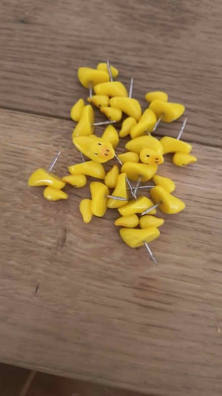 Photo of free Drawing pins (Allington ME16) #1