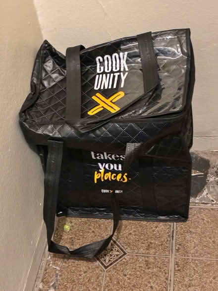 Photo of free Ice Packs and Cooler Bag (2831 Exterior Street, Bronx) #1