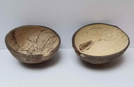 Photo of free Two half-coconut shells (Primrose LA1) #1