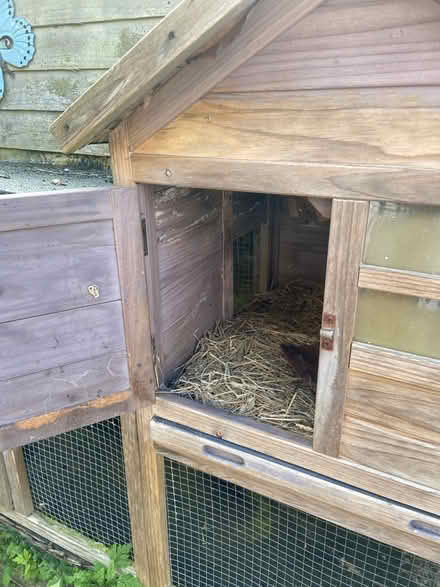 Photo of free Guinea pig hutch (Crowborough TN6) #2