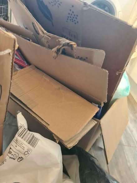 Photo of free Packaging and boxes (City College area NR2) #3