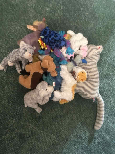 Photo of free The Beanie babies collection (Gorebridge EH23) #1