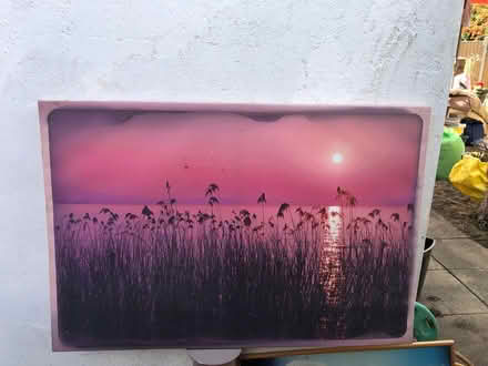 Photo of free Pictures (Northolt) #3