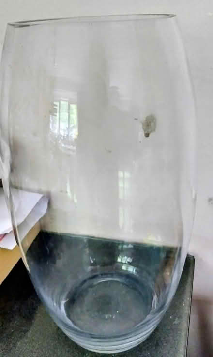 Photo of free Glass vase (warrington Wa5) #1