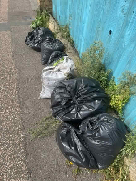 Photo of free Topsoil (BN3) #1
