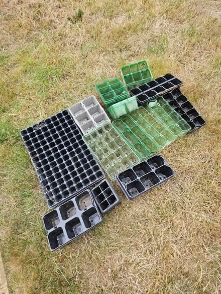 Photo of free Seed trays (Worcester, WR5) #1