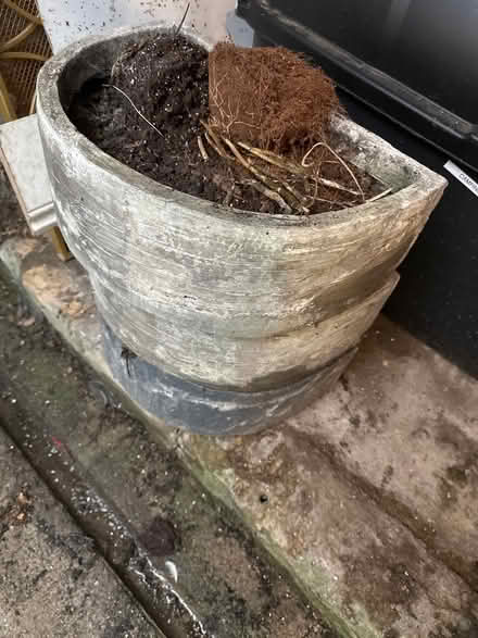 Photo of free 3 semi circular ceramic planters (Sion Hill) #2