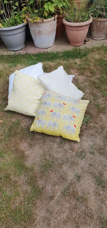 Photo of free Cushions - Habitat style + spare pad (Broadwater BN14) #1