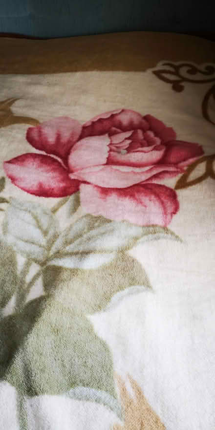 Photo of free Large cosy blanket with roses (BN10) #3