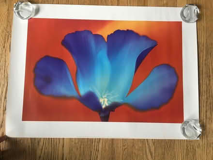 Photo of free Poster (Crestview) #1