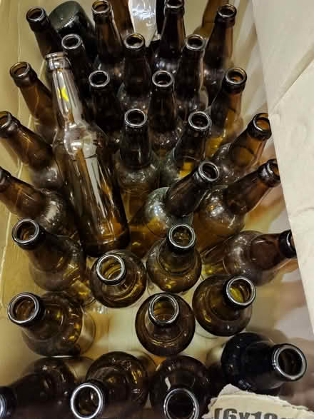 Photo of free beer bottles (Portobello WV14) #1