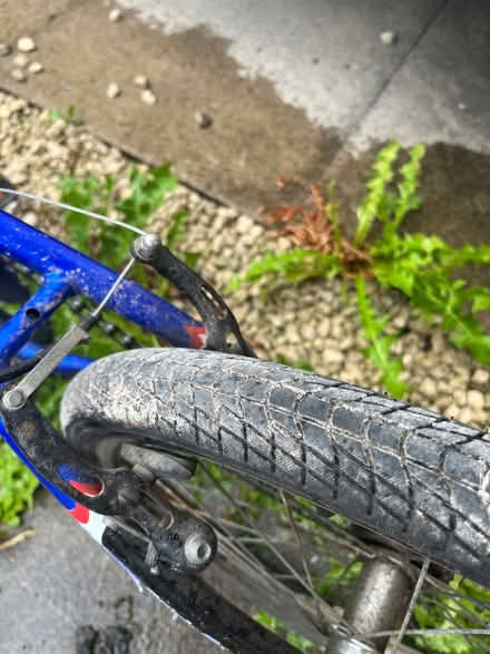 Photo of free 20” wheel bike (Broad Green L14) #2