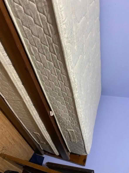 Photo of free 2 single beds with mattresses (Wilden DY13) #2