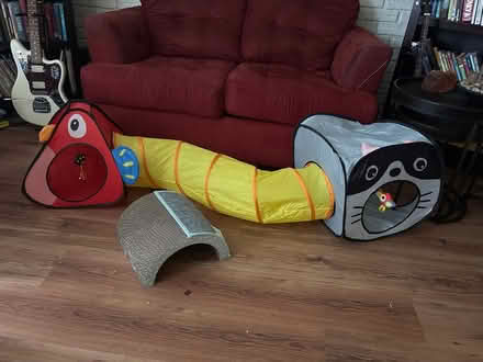 Photo of free cat toys (Naperville) #1