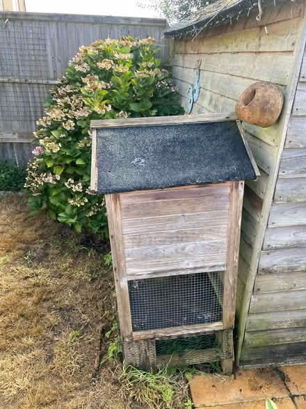 Photo of free Guinea pig hutch (Crowborough TN6) #4