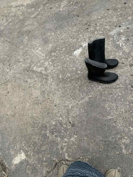 Photo of free Wellies (Nox SY5) #1