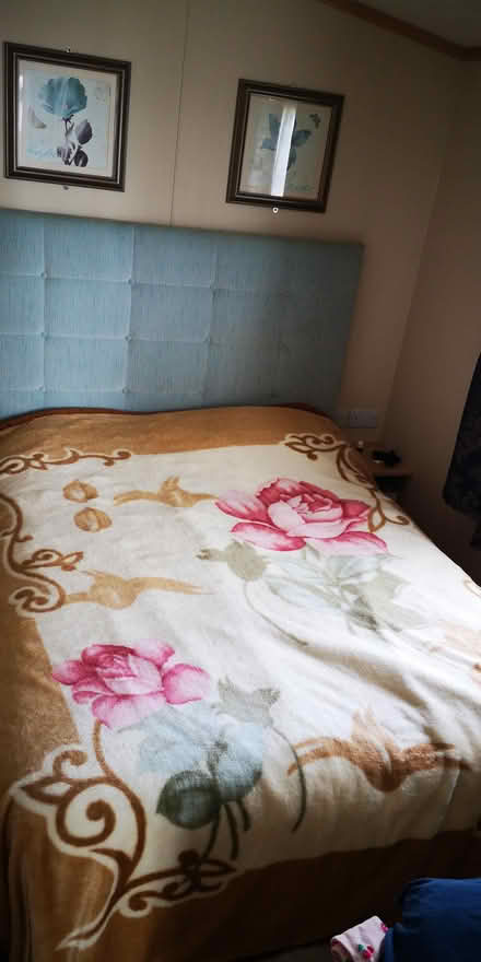 Photo of free Large cosy blanket with roses (BN10) #1