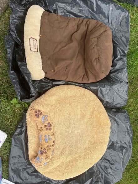 Photo of free Dog beds (Lombard) #1