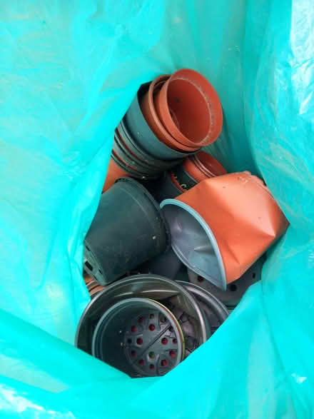 Photo of free Bin bag of plastic plant pots (Wivenhoe CO7) #1