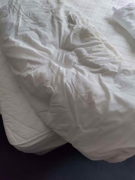 Photo of free 9 tog double duvet. (California DE22) #2