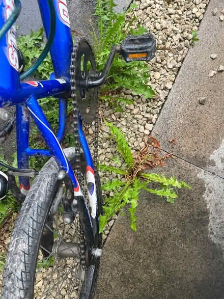 Photo of free 20” wheel bike (Broad Green L14) #4