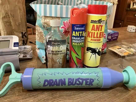 Photo of free Ant killer, teak oil and drain buster (Goffs Oak EN7) #1