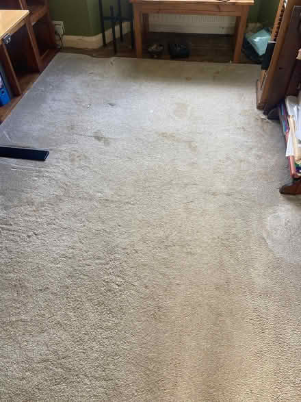 Photo of free Carpet (Sheddingdean RH15) #1