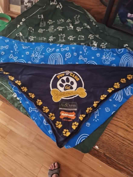 Photo of free 3 dog bandanas (SR, Bret Harte, near Jackson's) #1