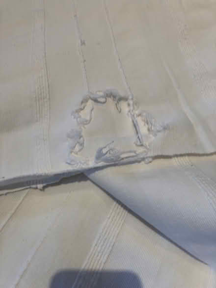 Photo of free Cream throw (Bodicote OX15) #3