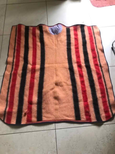Photo of free Thick blanket (Shepherds Bush) #1