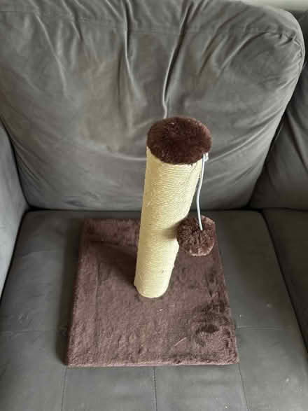 Photo of free Brown/cream cat toy (Trowbridge BA14) #2