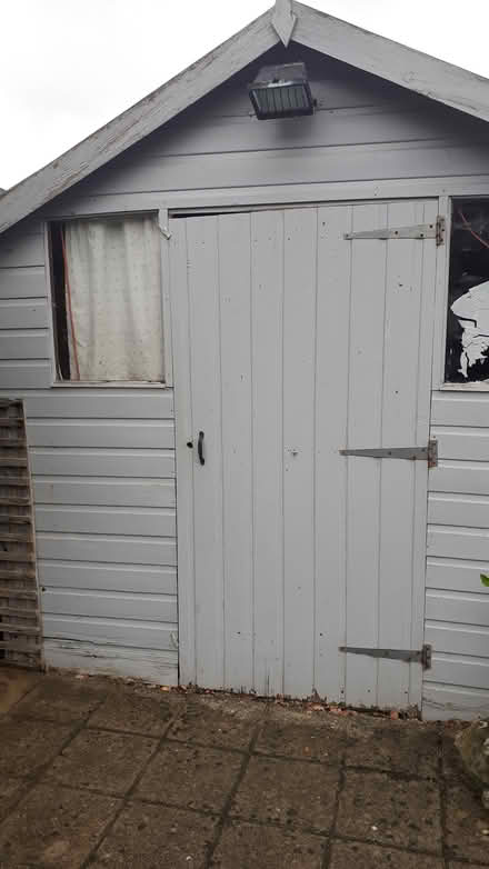 Photo of free Shed (Horsham Sx near station) #1