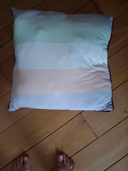 Photo of free Garden cushion (Crookes S10) #1