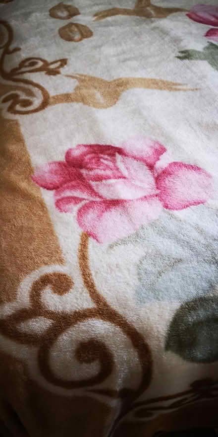 Photo of free Large cosy blanket with roses (BN10) #2
