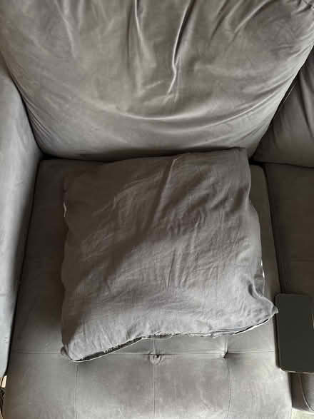 Photo of free Lion pillow (Trowbridge BA14) #2