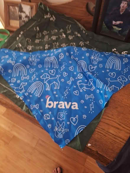 Photo of free 3 dog bandanas (SR, Bret Harte, near Jackson's) #2