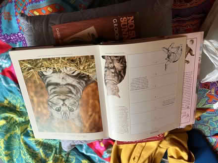 Photo of free 7 books (Belsize Park NW3) #2